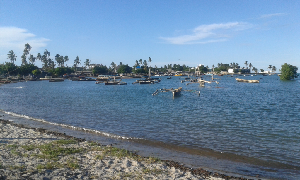 Indian Ocean views from the Kunduchi village